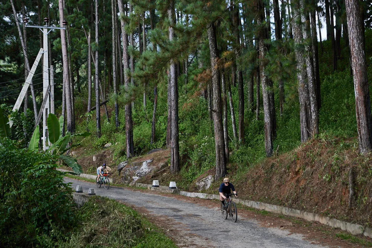 Katherine Moore cycling down road with tall trees in Sri Lanka.