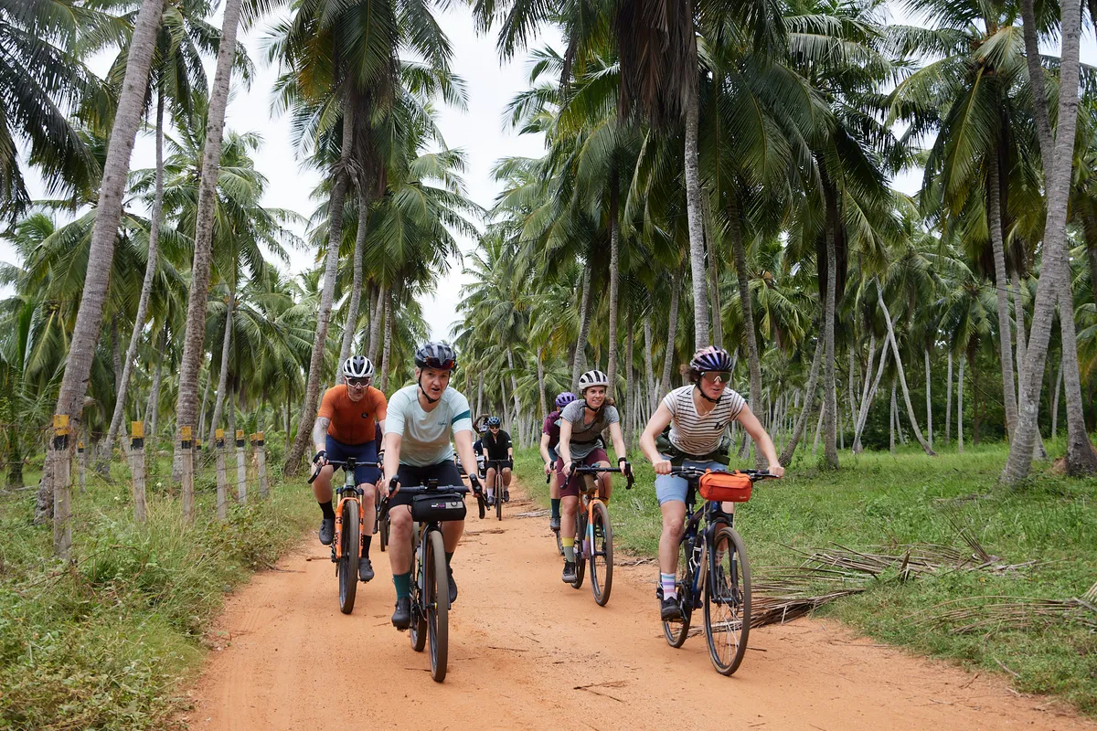 Group cycling in Sri Lanka through palm trees.