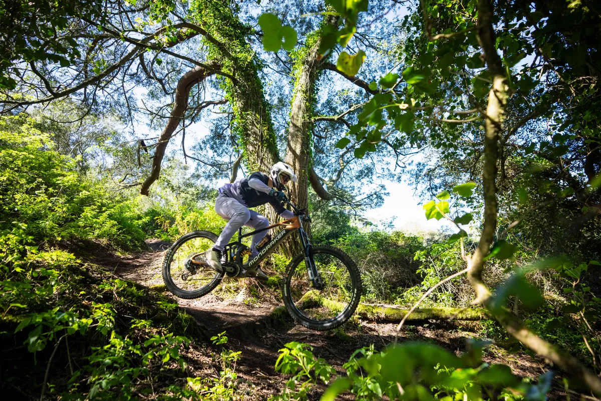 Mondraker Dune XR being ridden on loamy trail with overhanging trees