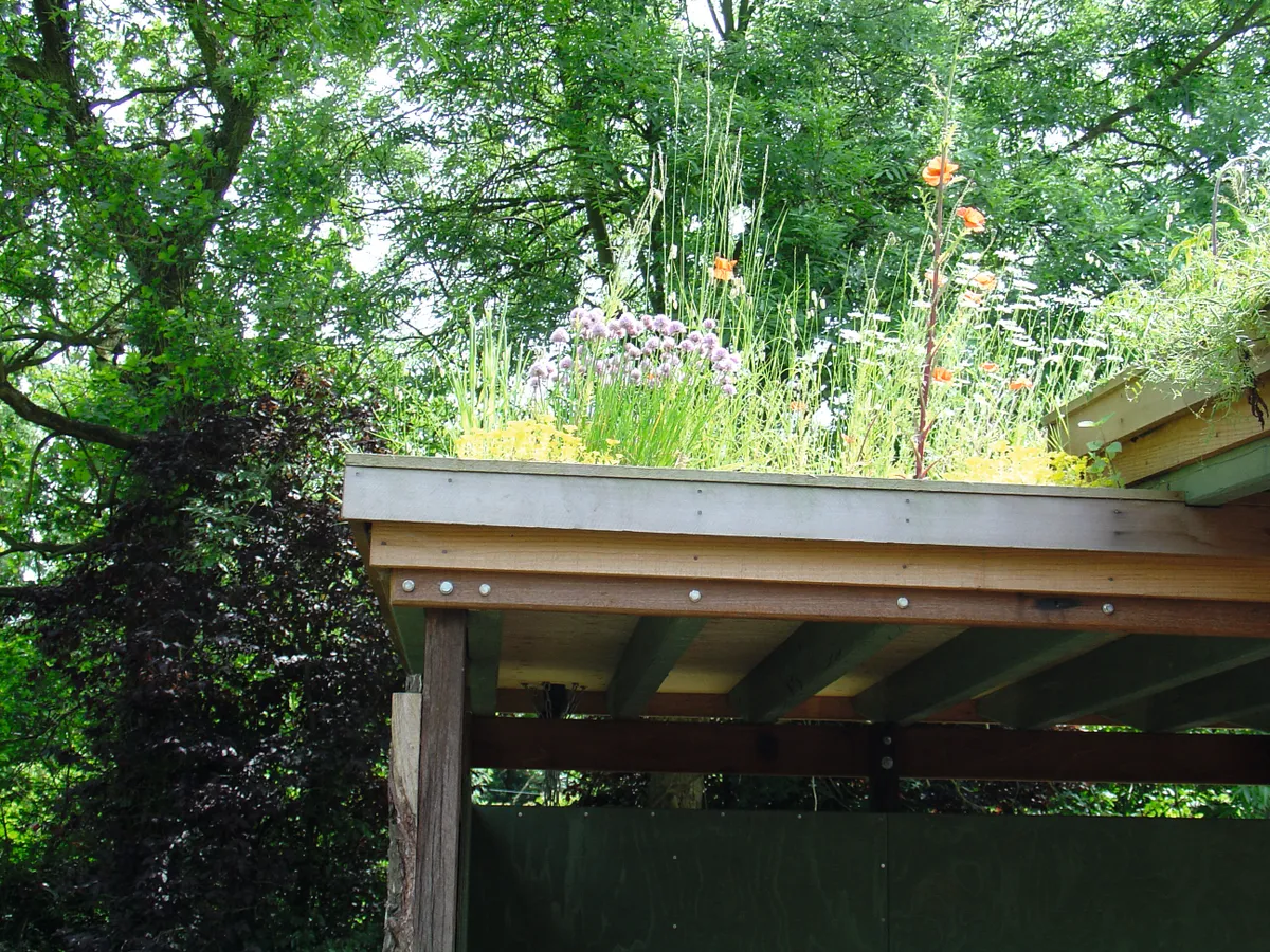 A flat roof on an extension has been planted with herbs and wildflowers to attract wildlife