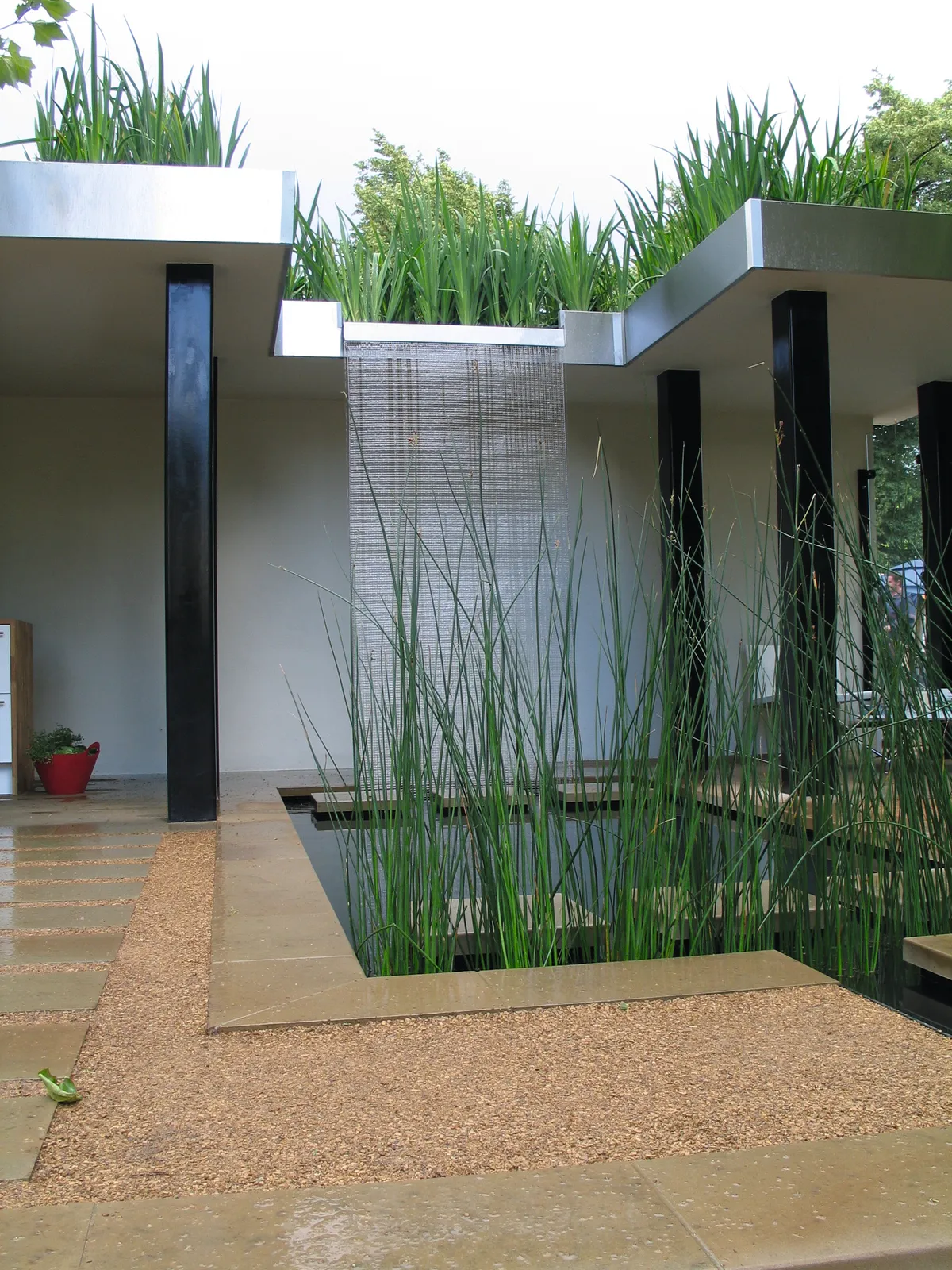 Damp-loving plants have been used to reduce water logging on this flat roof and contemporary design