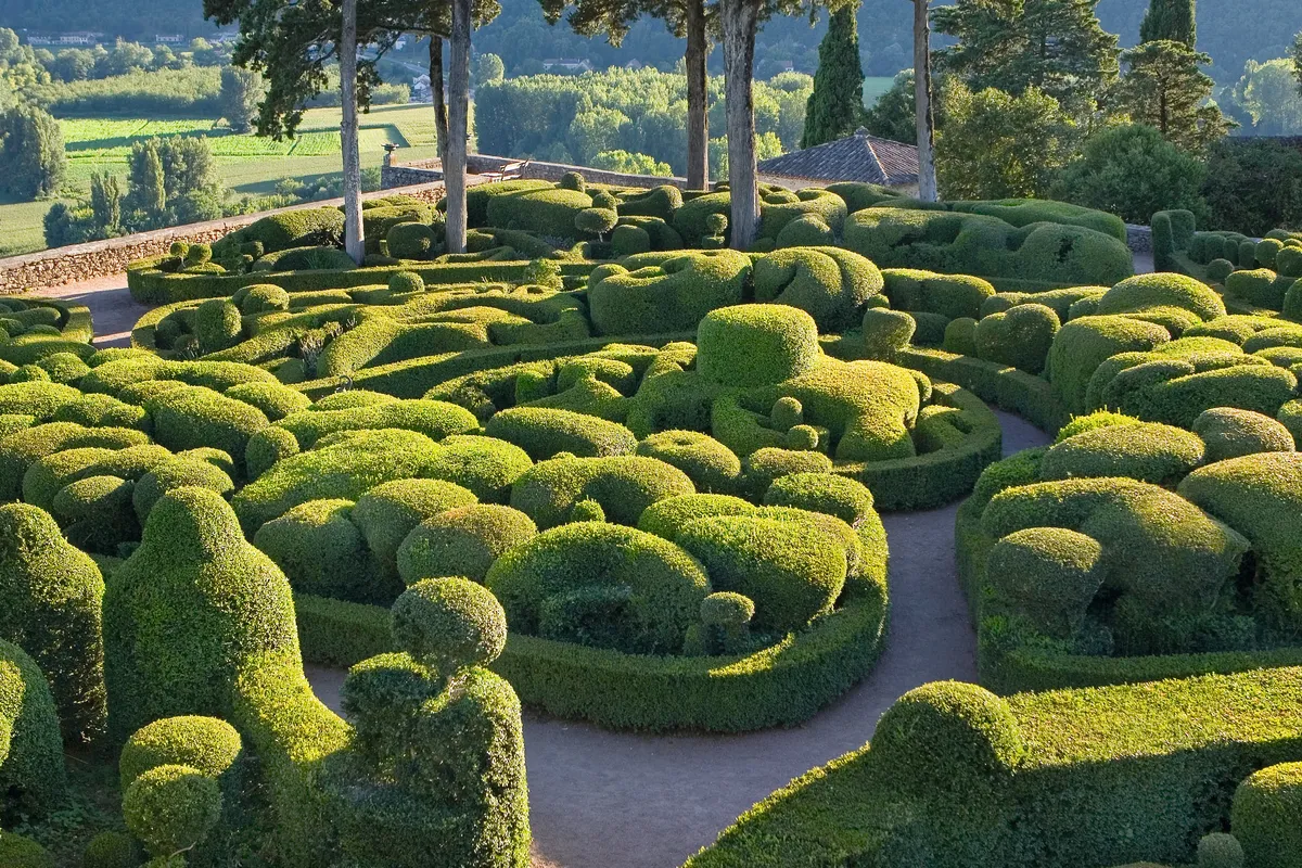 Topiary box hedges at the Marqueyssac gardens, Dordogne valley, France