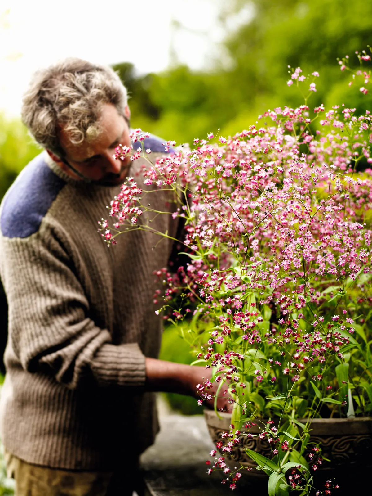 Matthew Reese tends to pink gypsophila planted arrangement