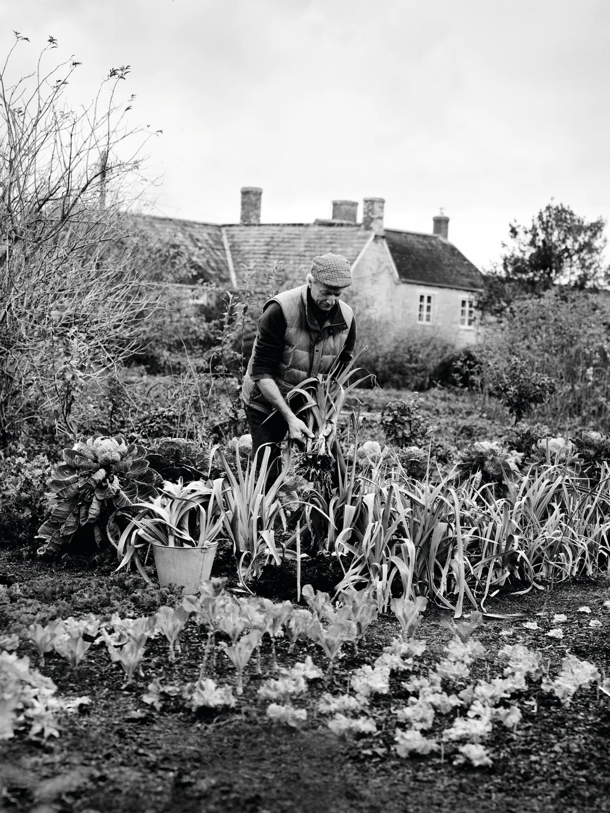 No-dig gardener Charles Dowding in his quarter-acre organic vegetable garden in Somerset