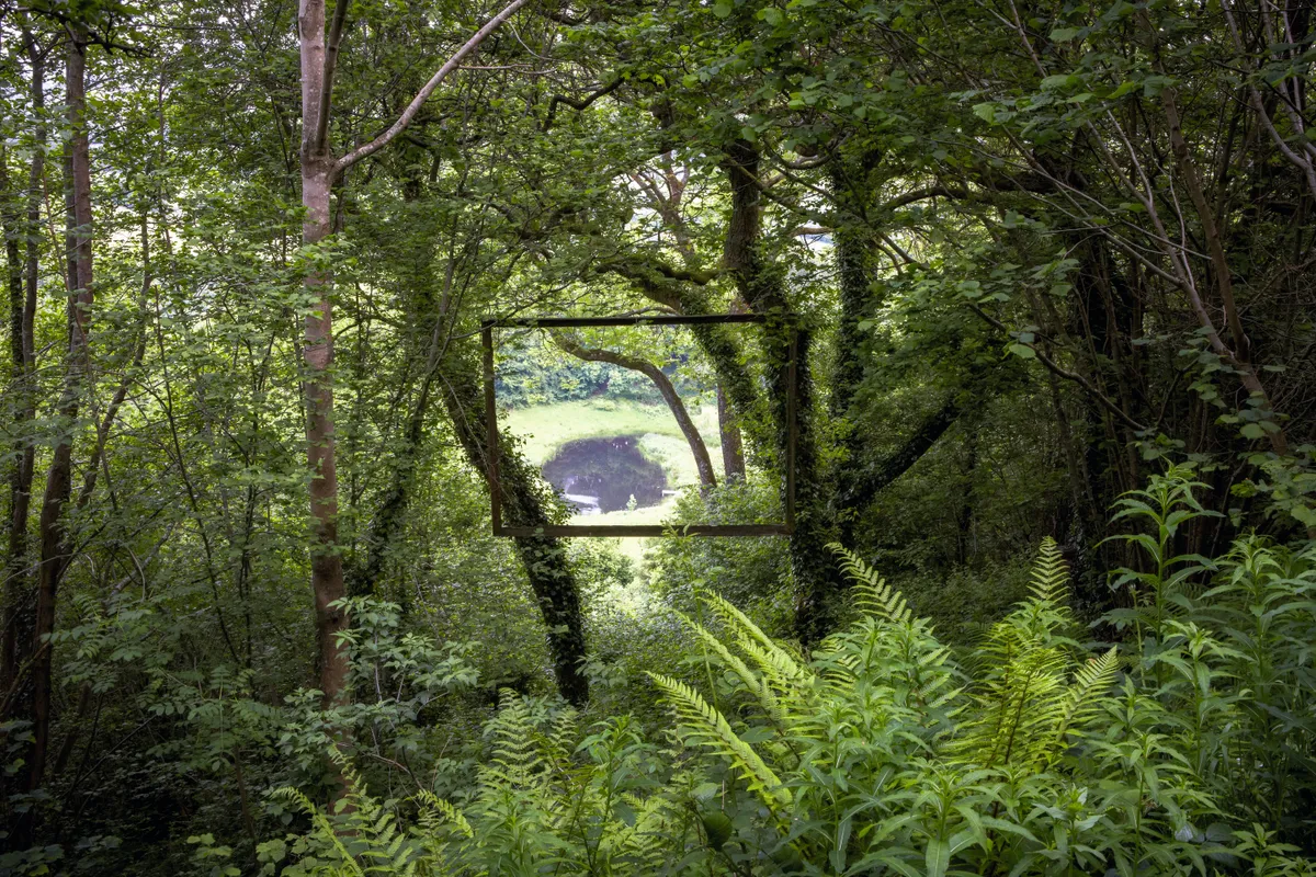 A frame hangs high within trees to offer a tantalising glimpse of another garden episode – a lakeside meadow in the valley below.