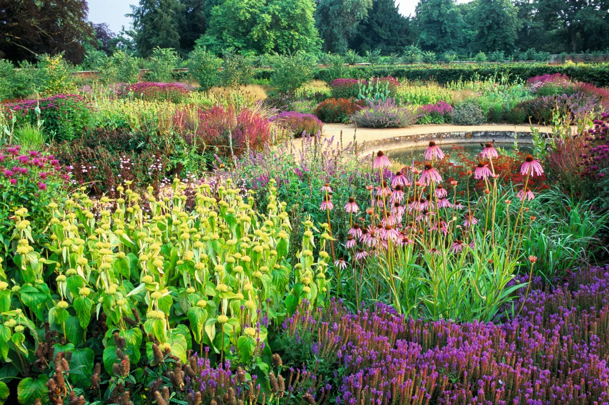 Award winning Scampston Walled Garden, designed by Dutch plantsman Piet Oudolf, featuring modern, perennial low planting alongside traditional areas
