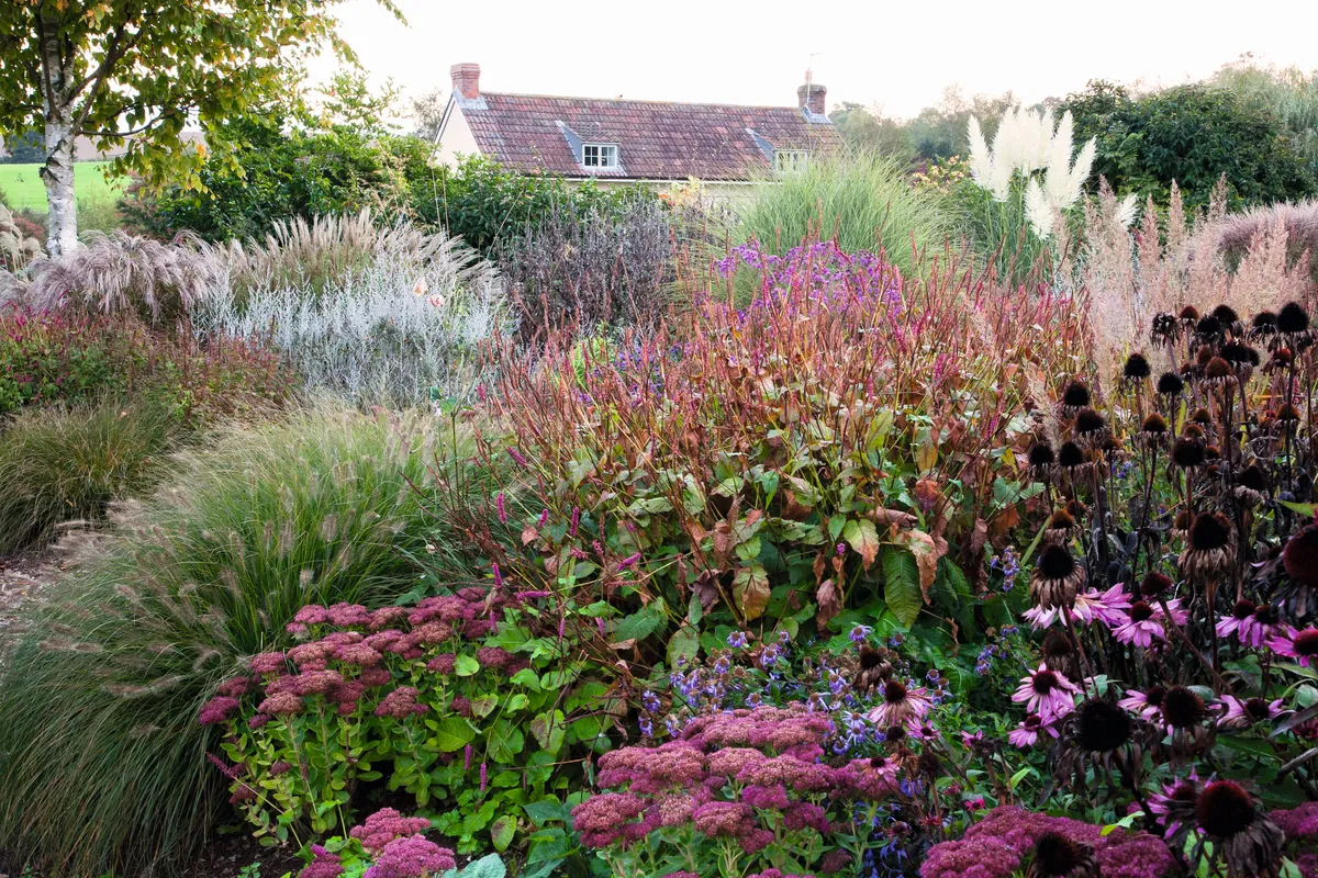 The Lady Farm gardens is a farmhouse garden in schemes of grasses and low perennials