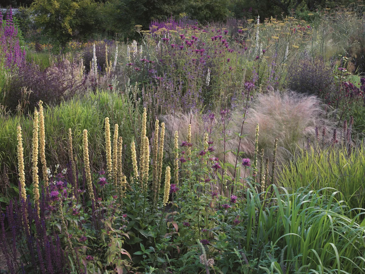 A planted naturalistic display of rare and interesting perennials in soft purple hues is on display in the enchanting Cambo Walled Garden