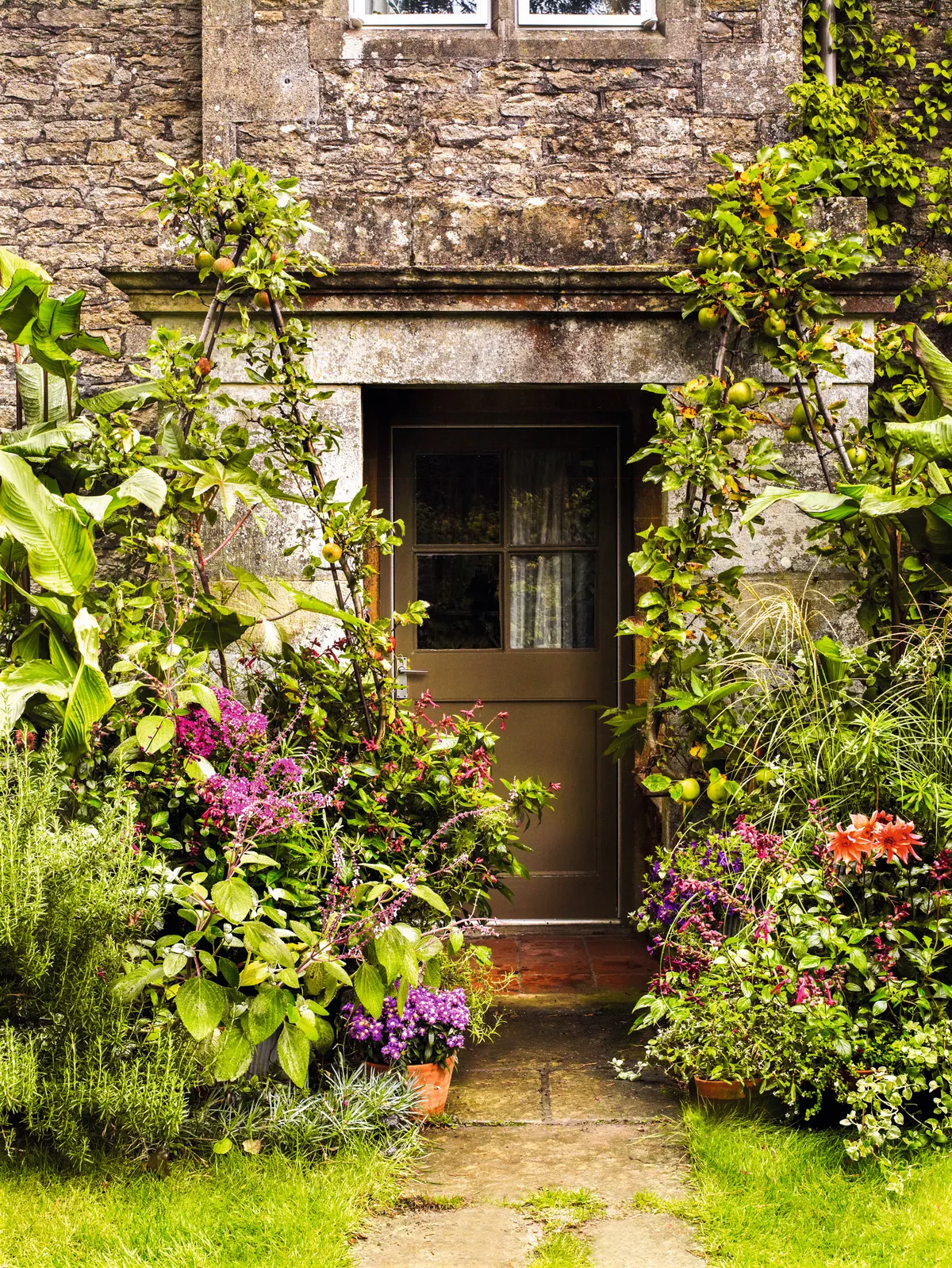 A cottage entrance filled with colourful plants and flowers