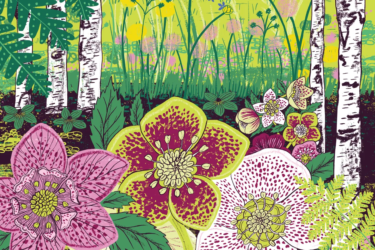 A brightly coloured illustration of flowers