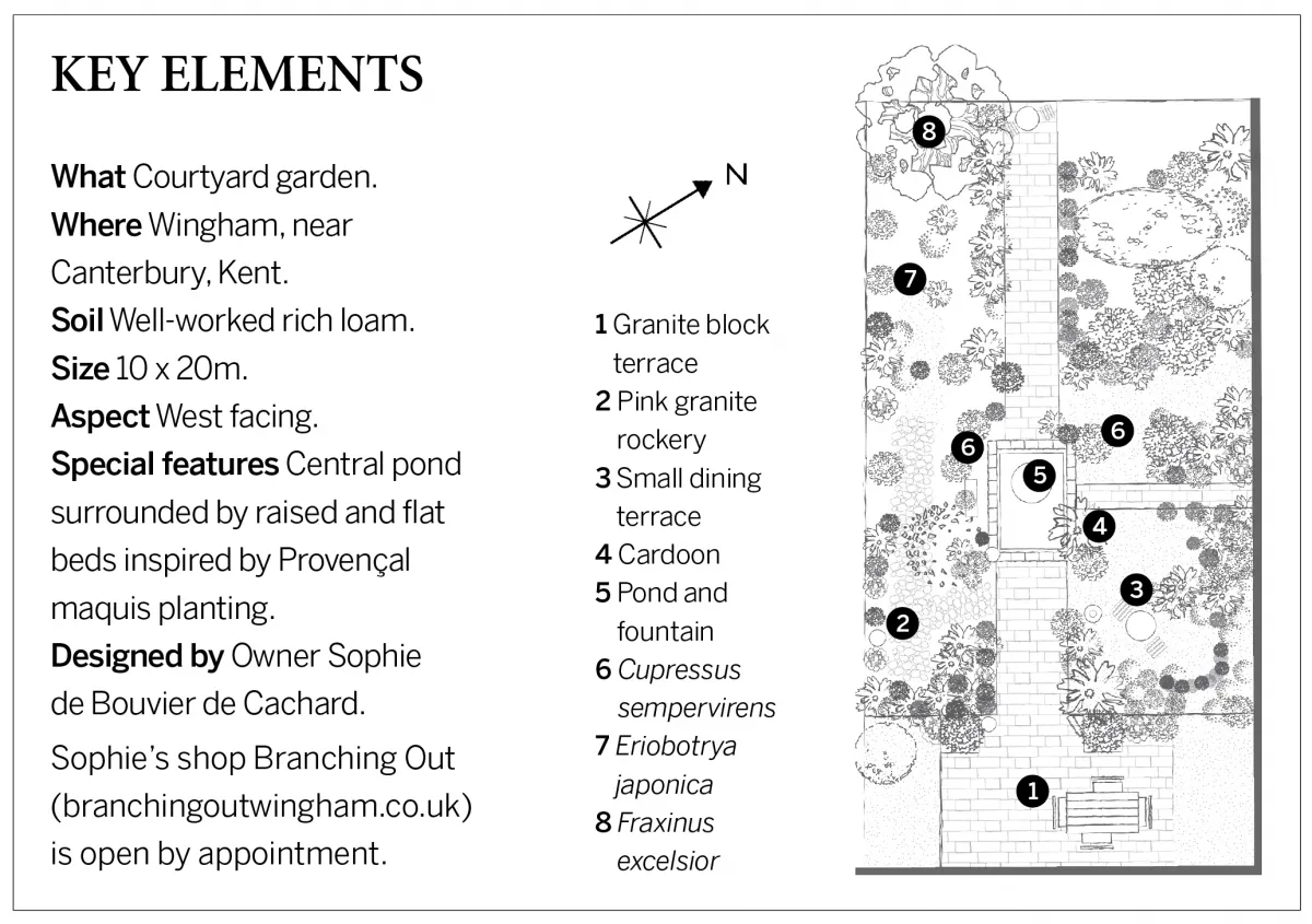 Illustration of a showing a small garden planting plan