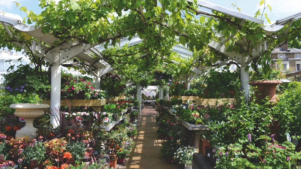 Clifton nurseries has two centres, one in London and one in Surrey. Gifts and furniture sit alongside their excellent range of plants.