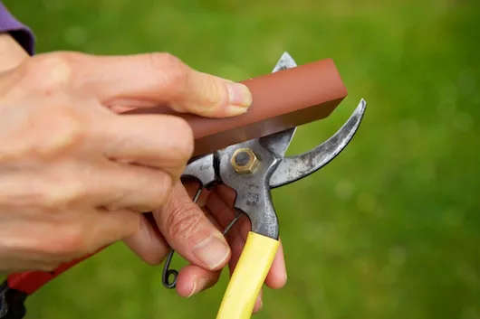 How to sharpen garden tools and essential sharpening tools - Gardens  Illustrated