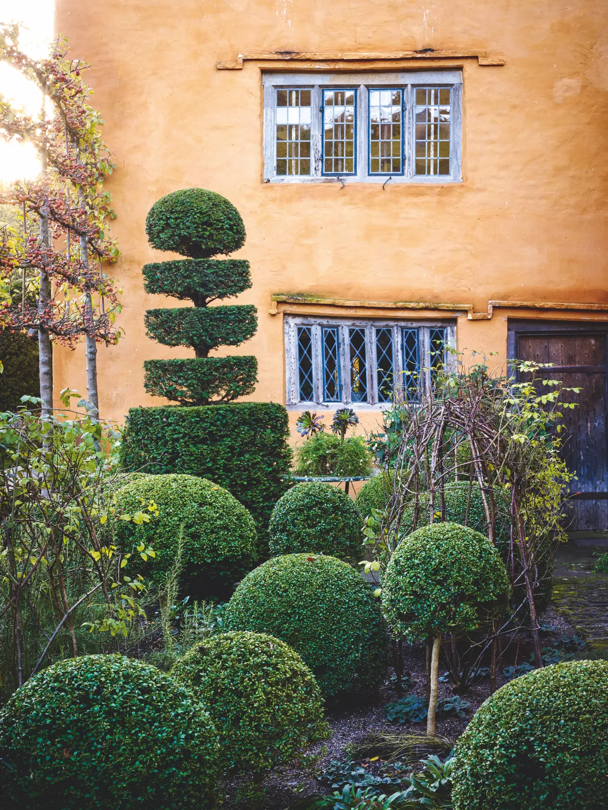 Box & Yew Topiary against Pleached Crab Apples