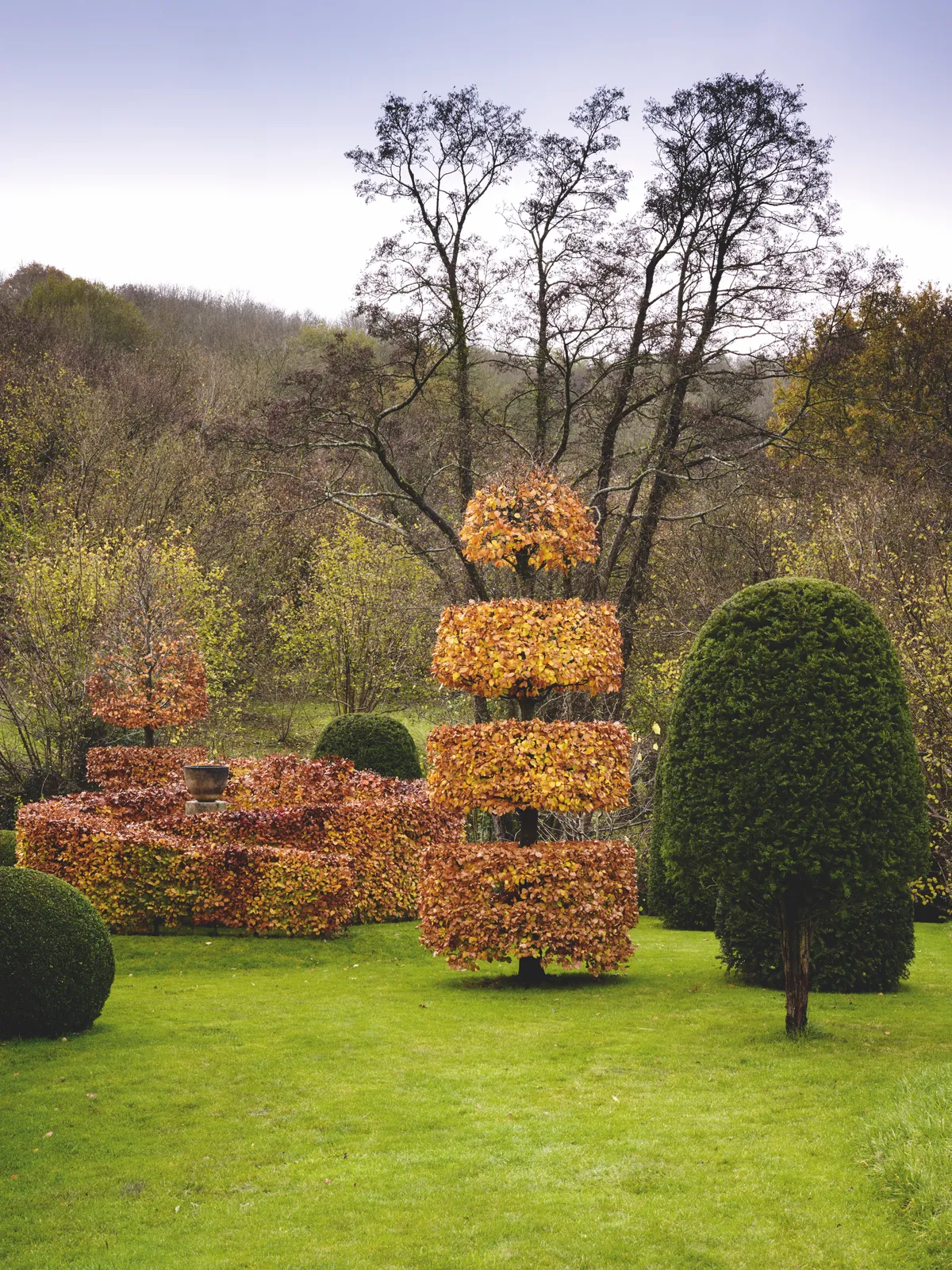 Cut Copper Beech Spiral Hedge with Beech, Yew & Box Topiary