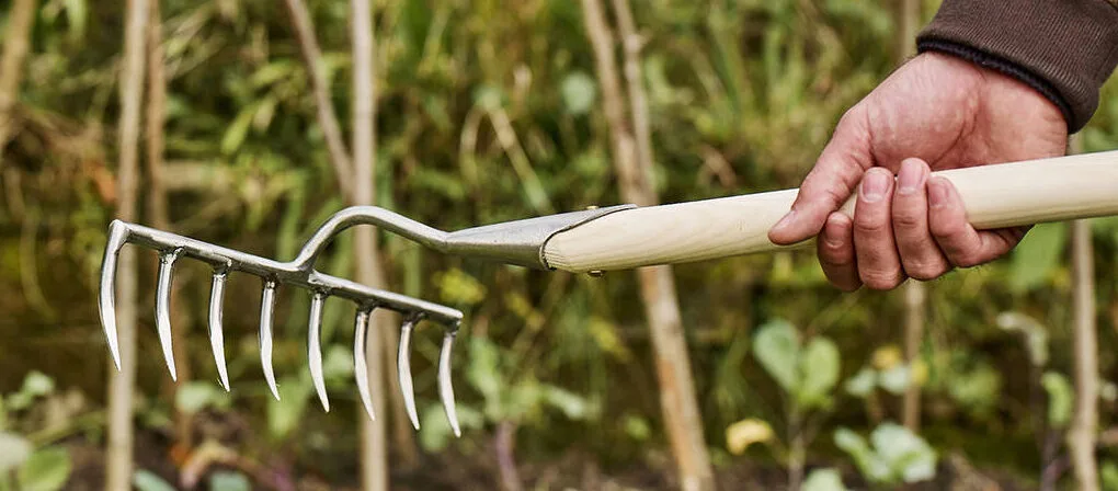 Ban on slug killer metaldehyde finally enforced | Gardens Illustrated
