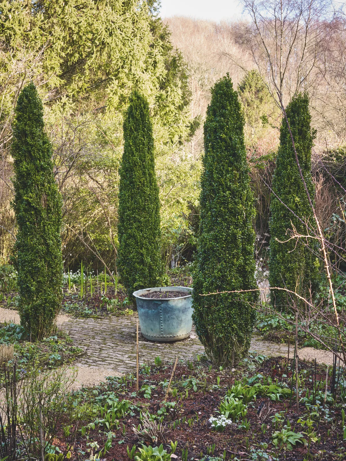 A copper planter is positioned in the middle of four tall, slender trees on top of stable setts