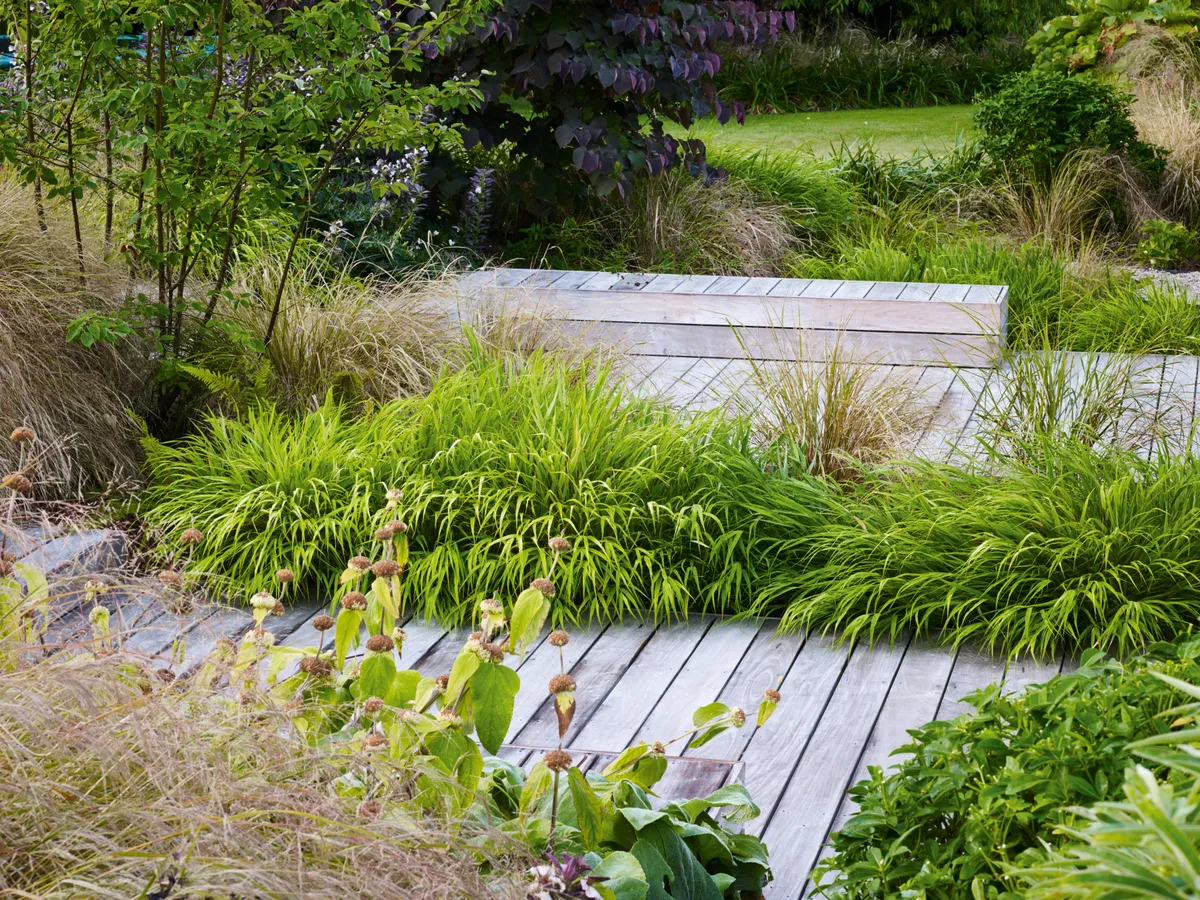 Helen Elks-Smith's garden design in Hampshire