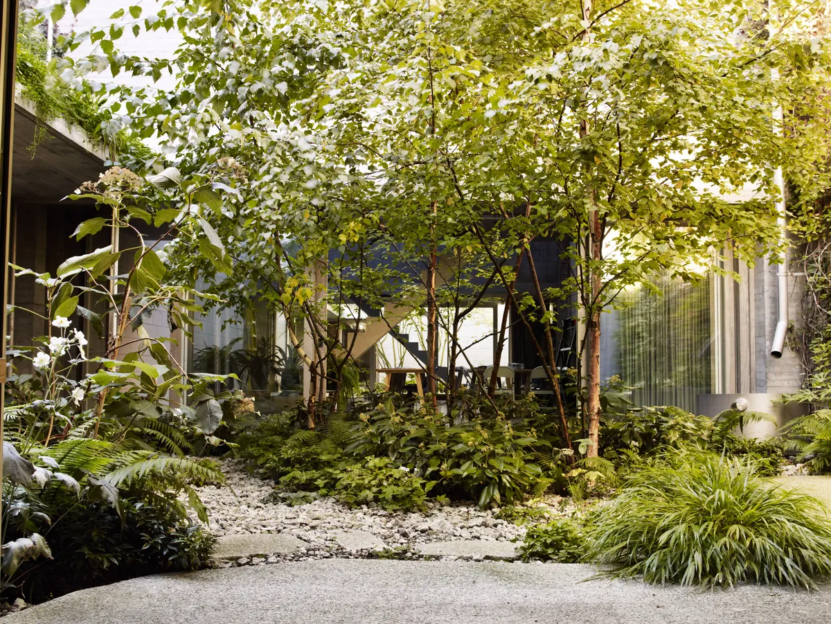 Juergen Teller's studio garden