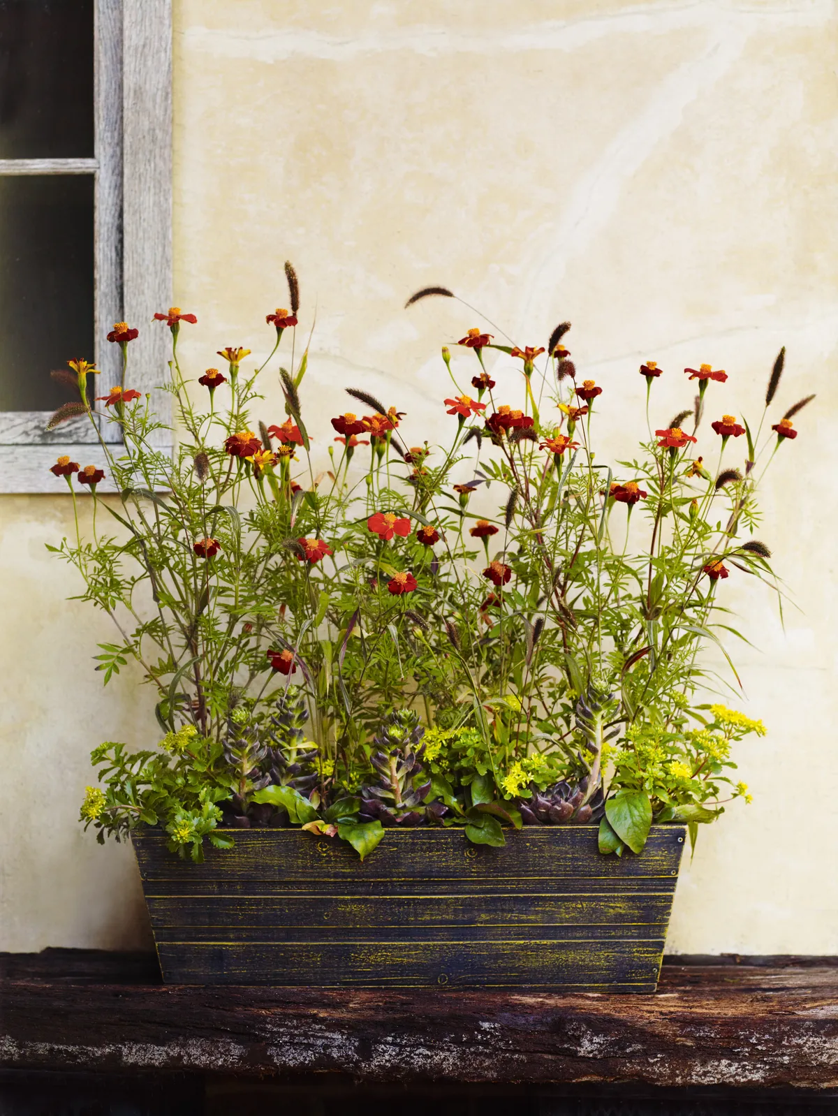 A late summer container