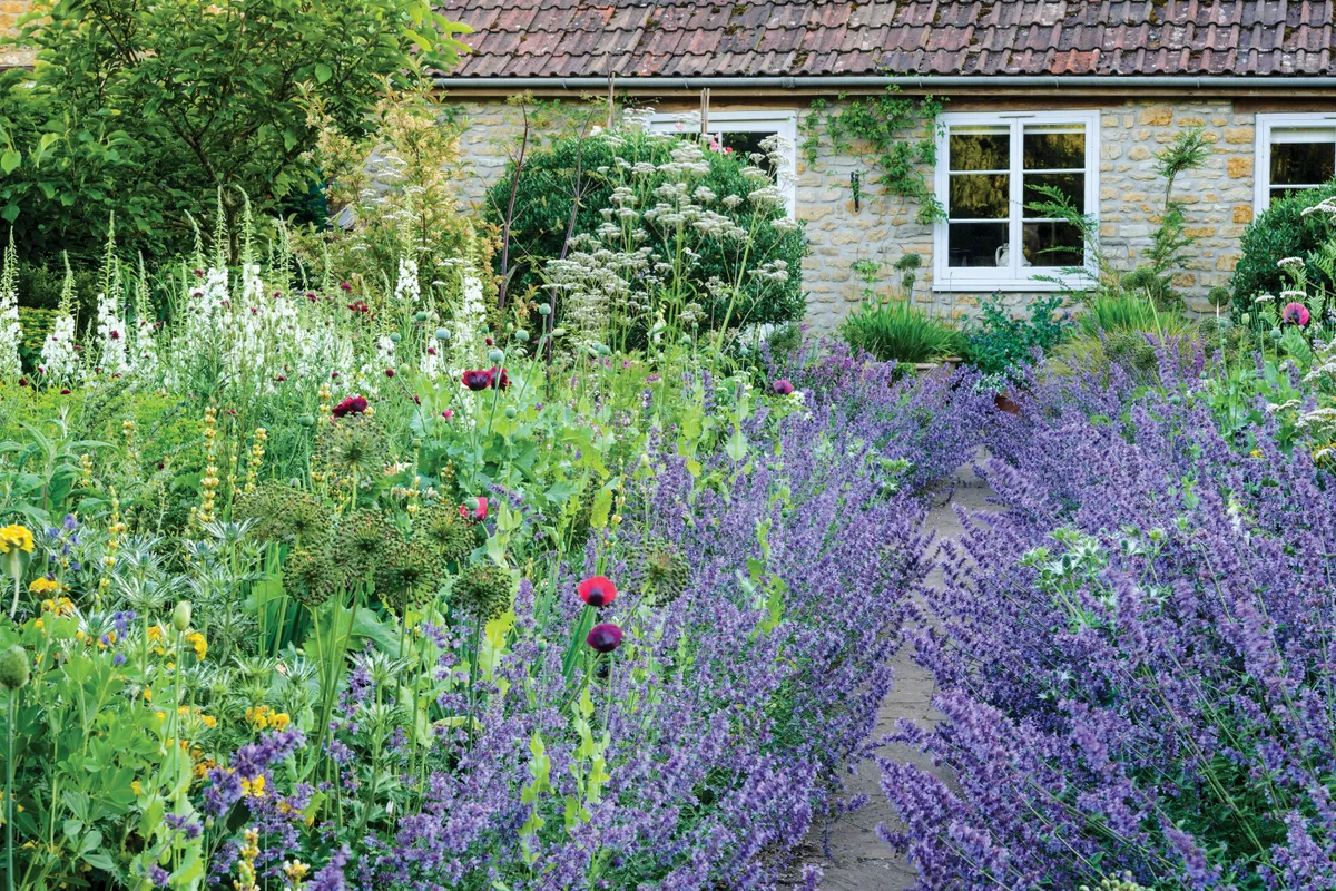 Penelope Hobhouse's garden