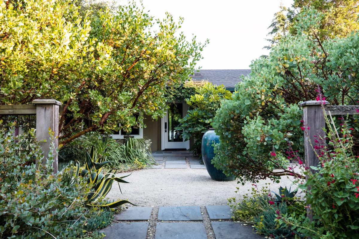 Sean Hogan's West Coast garden
