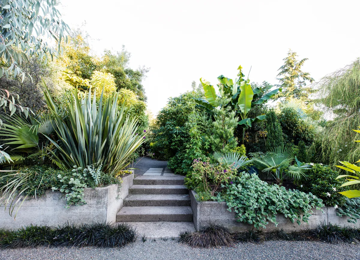 Sean Hogan's West Coast garden