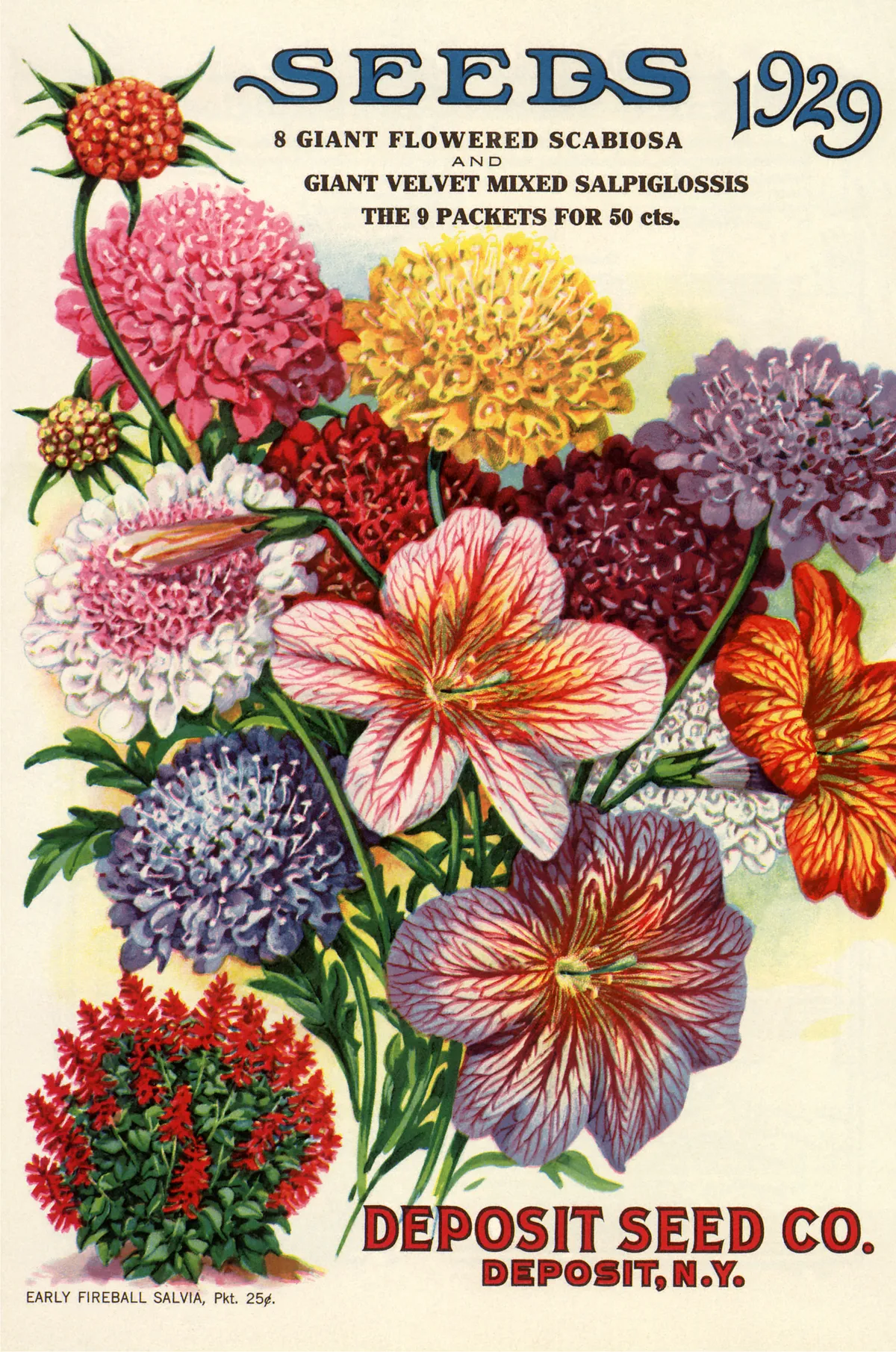 Variety of flowers seed packet