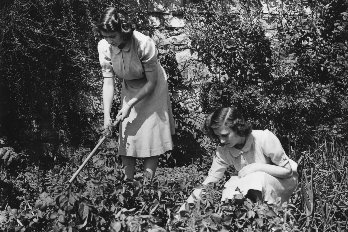 Princesses Elizabeth and Margaret working on their allotment in the grounds of Windsor Castle