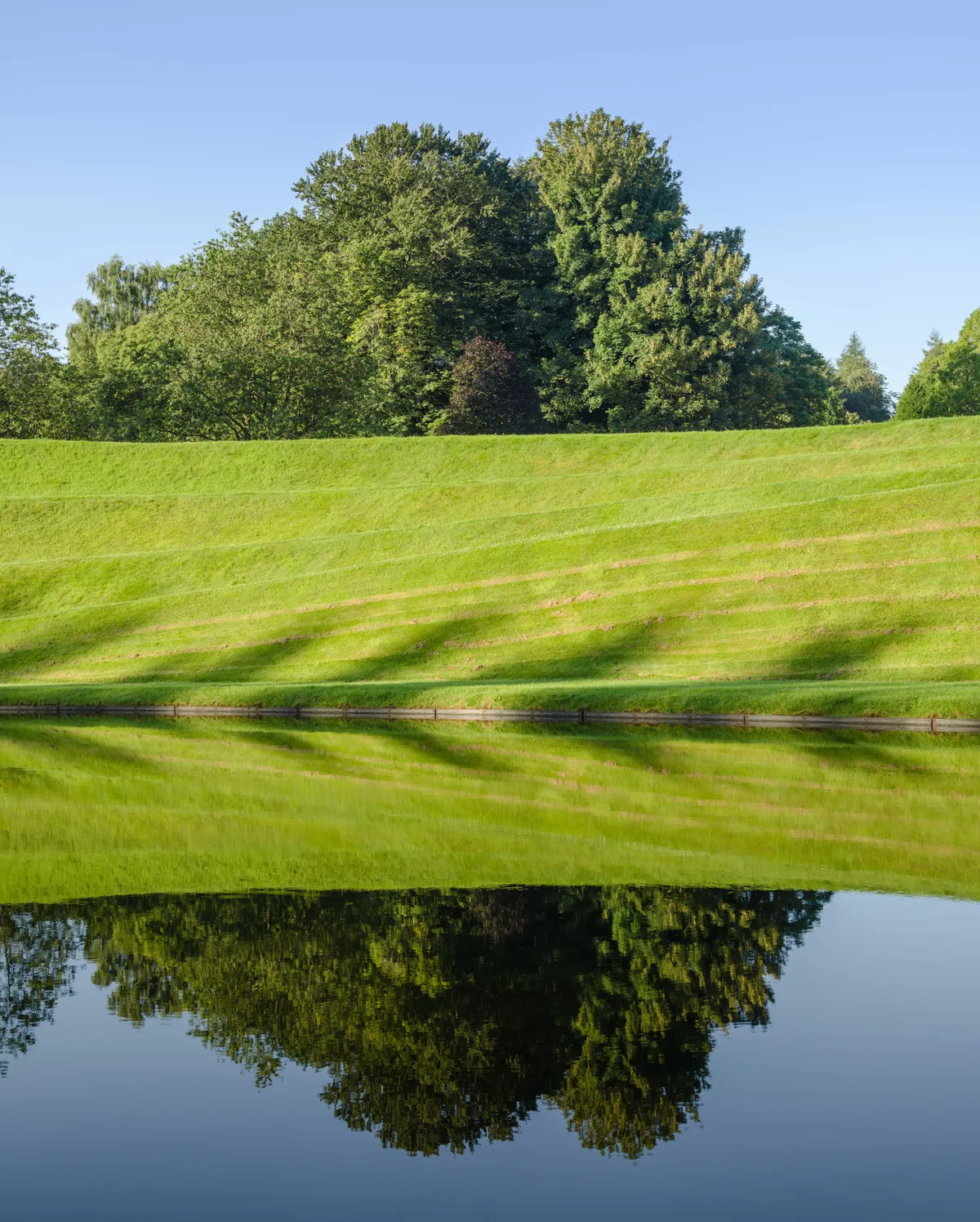 The Garden of Cosmic Speculation