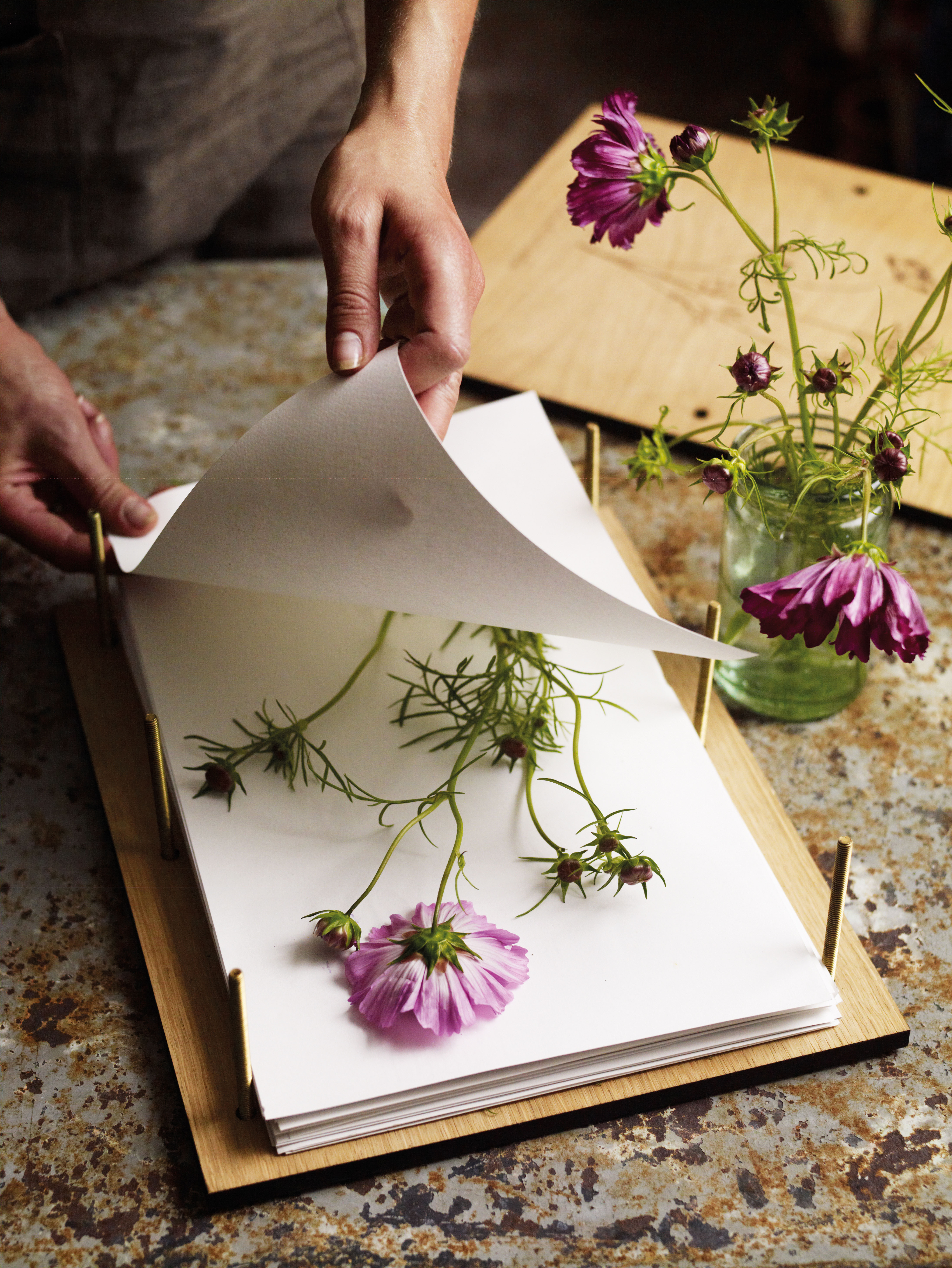 Flower press: the best flower press to buy and how to press