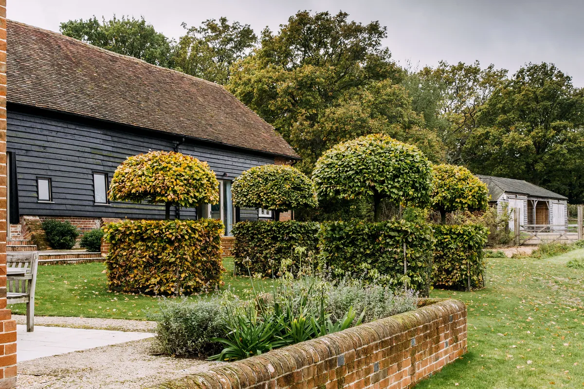 Chris Moss' garden around a 17th century farmhouse in West Sussex