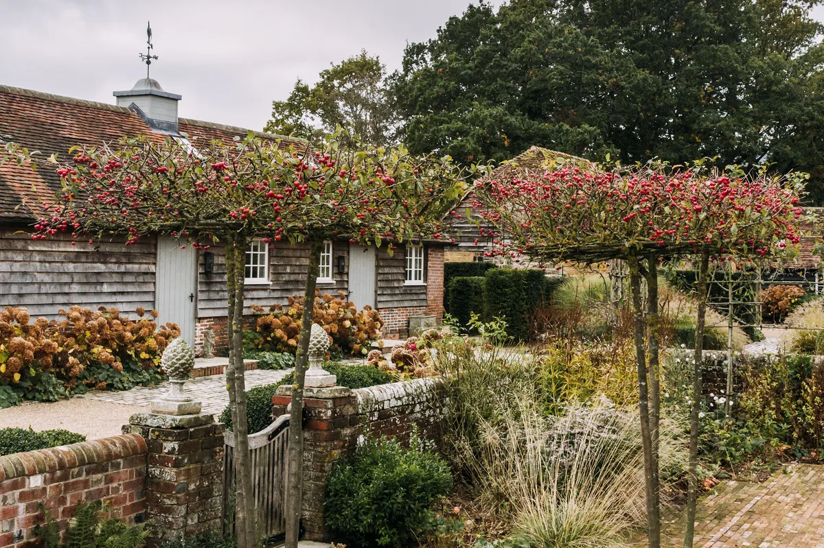 Chris Moss' garden around a 17th century farmhouse in West Sussex