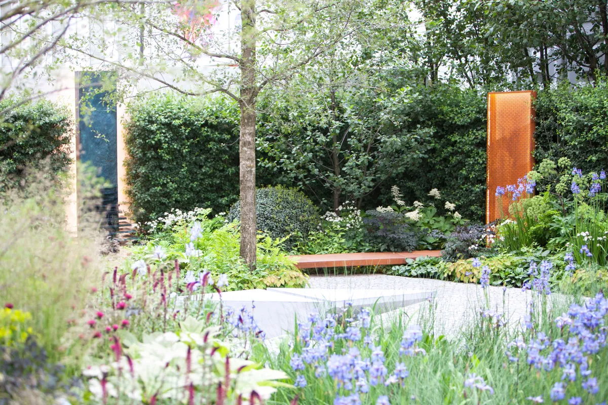Waterscape Garden designed by Hugo Bugg at the RHS Chelsea Flower Show 2014.