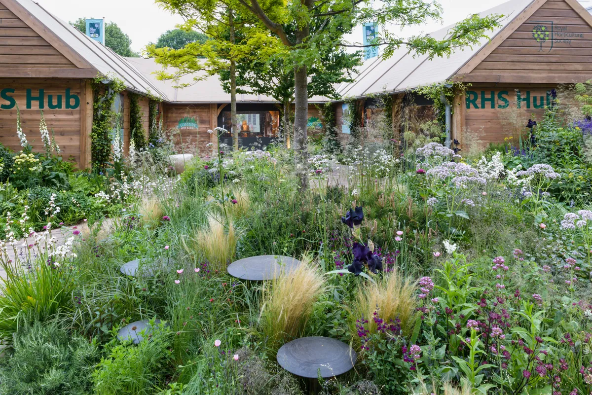 The Feel Good Garden at RHS Chelsea Flower Show 2018 designed by Matt Keightley