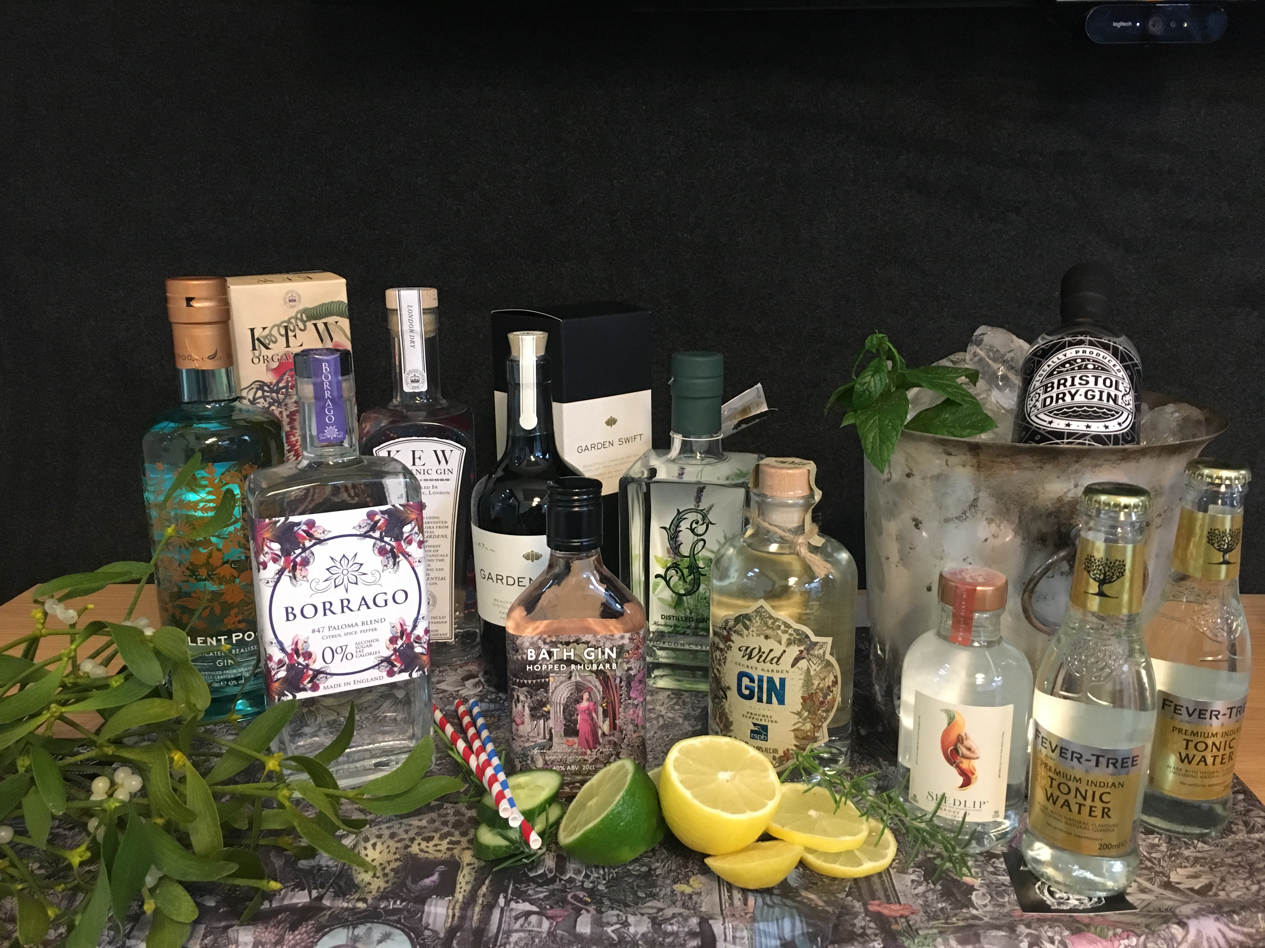 for Best Illustrated with 2024 botanicals gins - Gardens