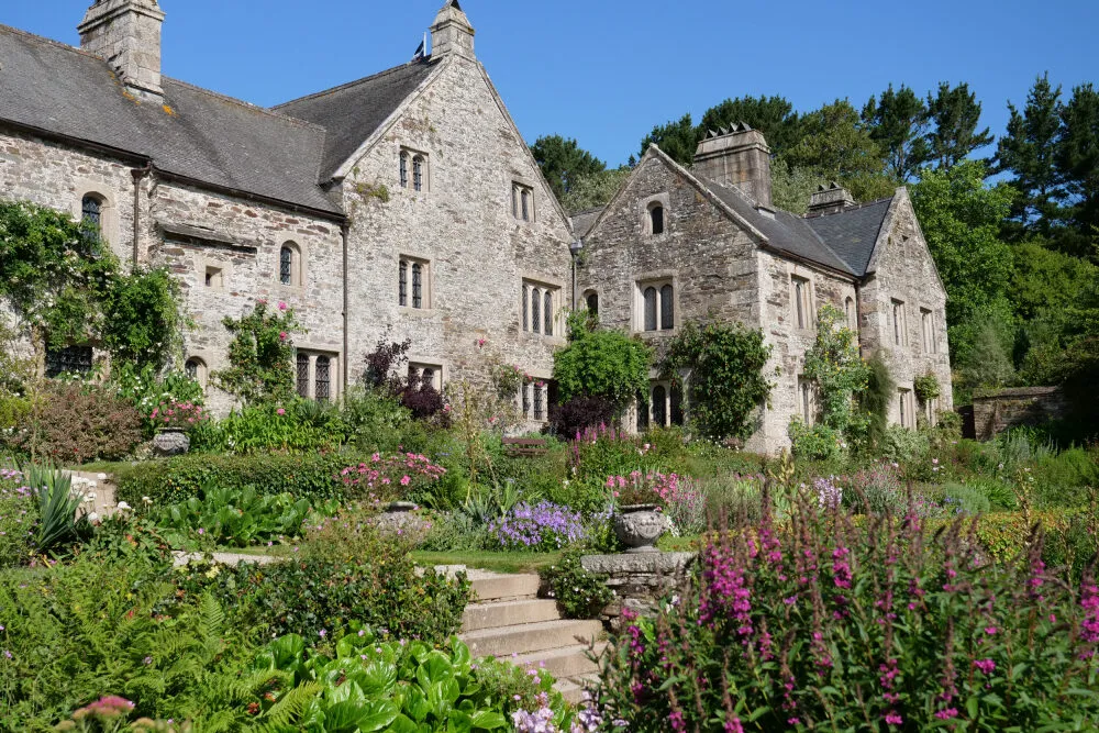 The garden in July at Cotehele, Cornwall