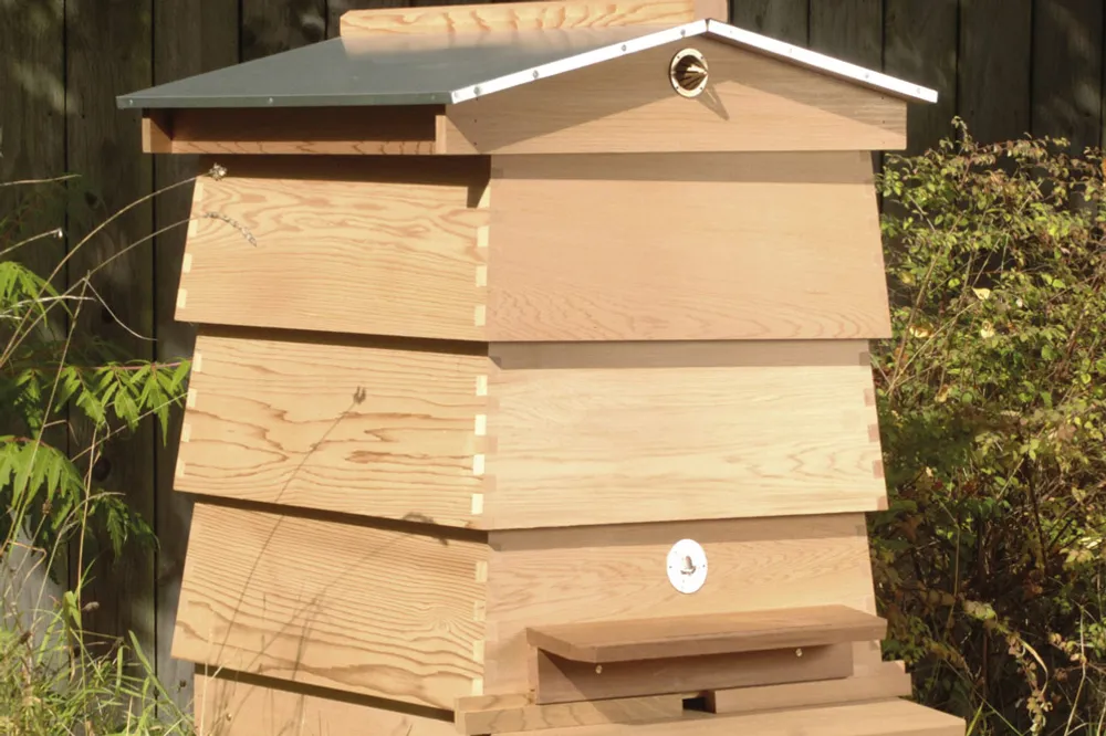 Bee hive from National Bee Supplies