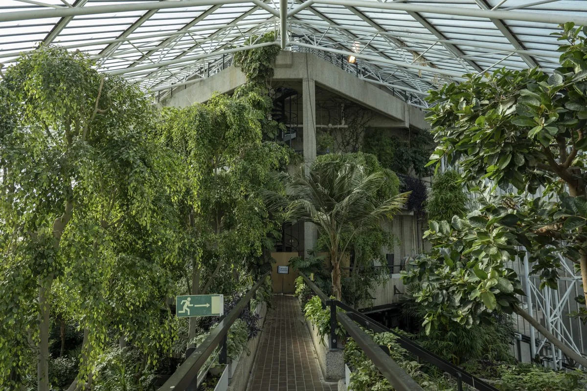 Inside the Barbican Centre conservatory