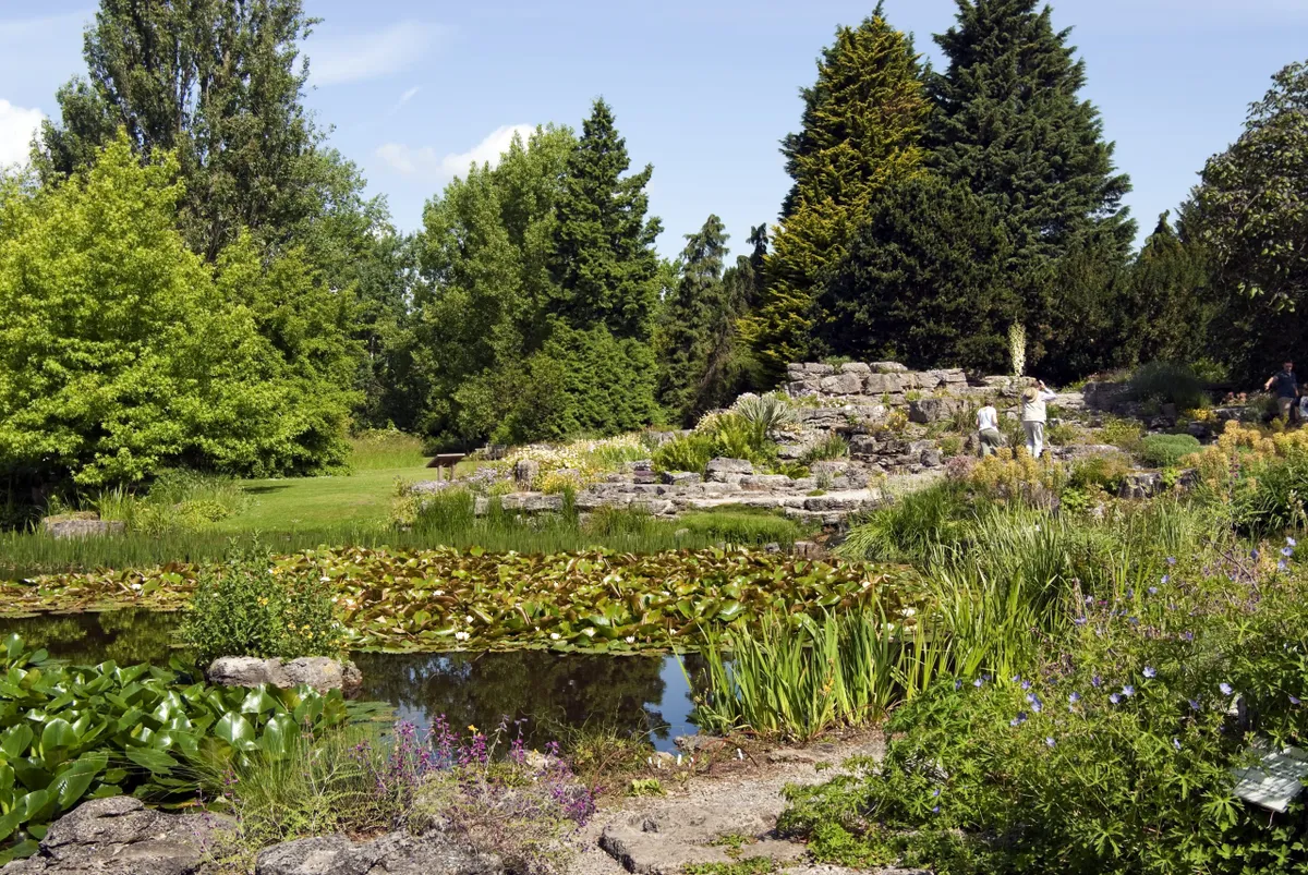 Limestone Rock Garden at the Cambridge University Botanic Garden