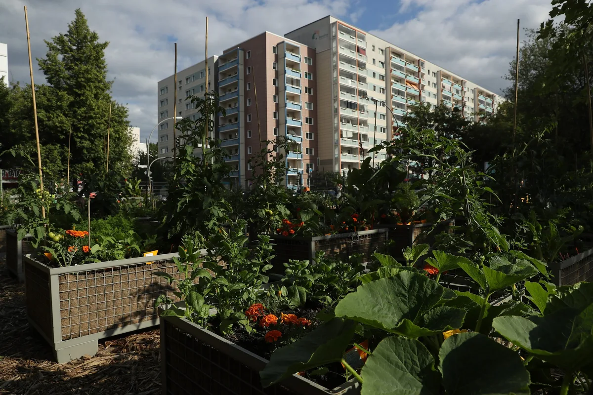 Urban gardening