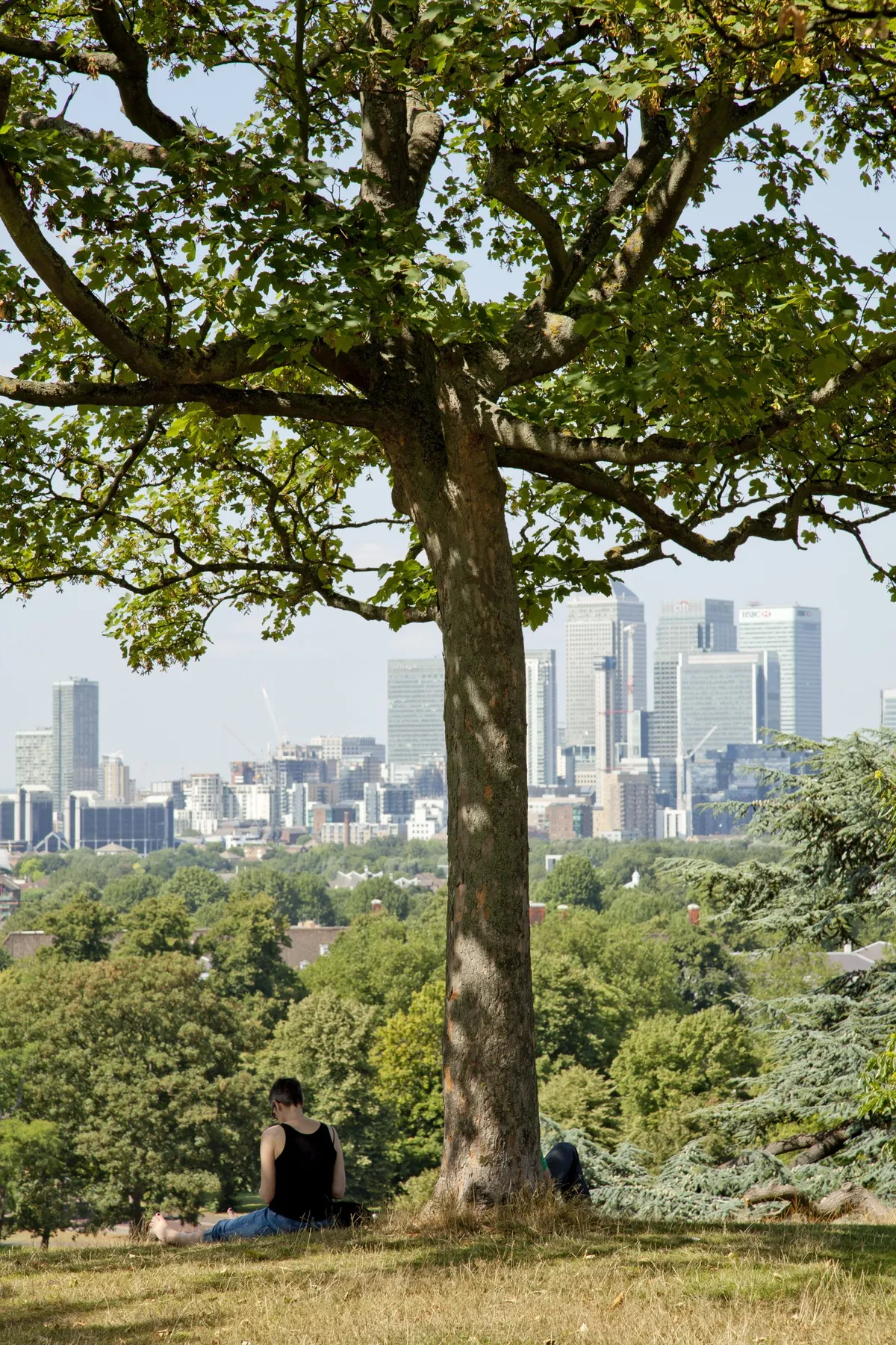 One tree hill, Greenwich Park
