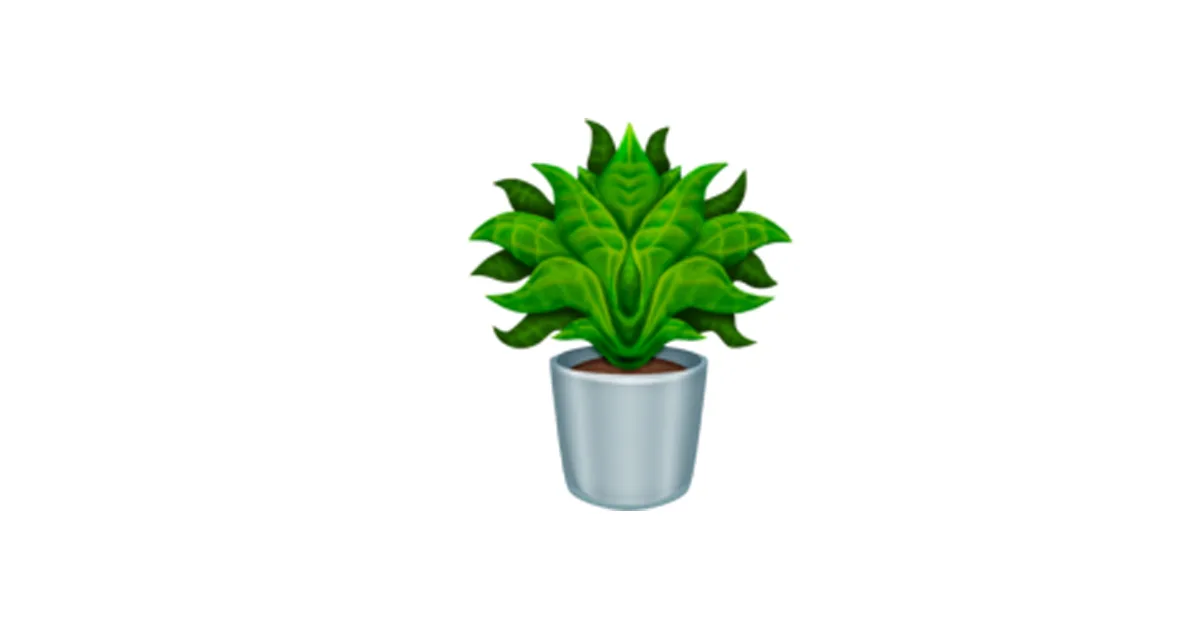 House plant emoji House plant emoji