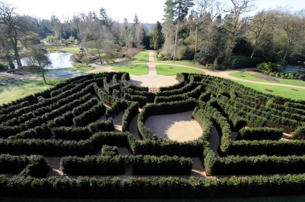 Yew hedge maze with fences at Cliveden