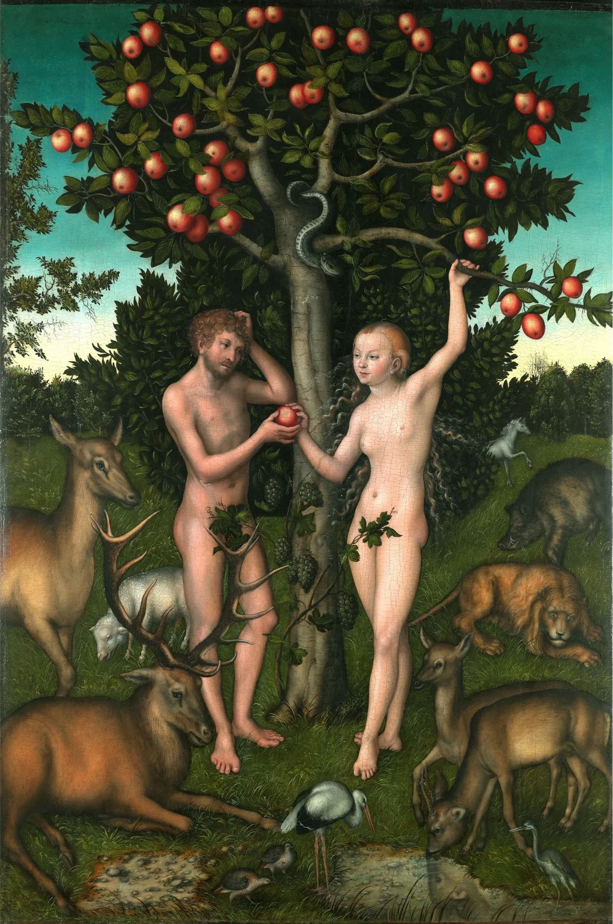 Adam and Eve by Lucas Cranach, the Elder 