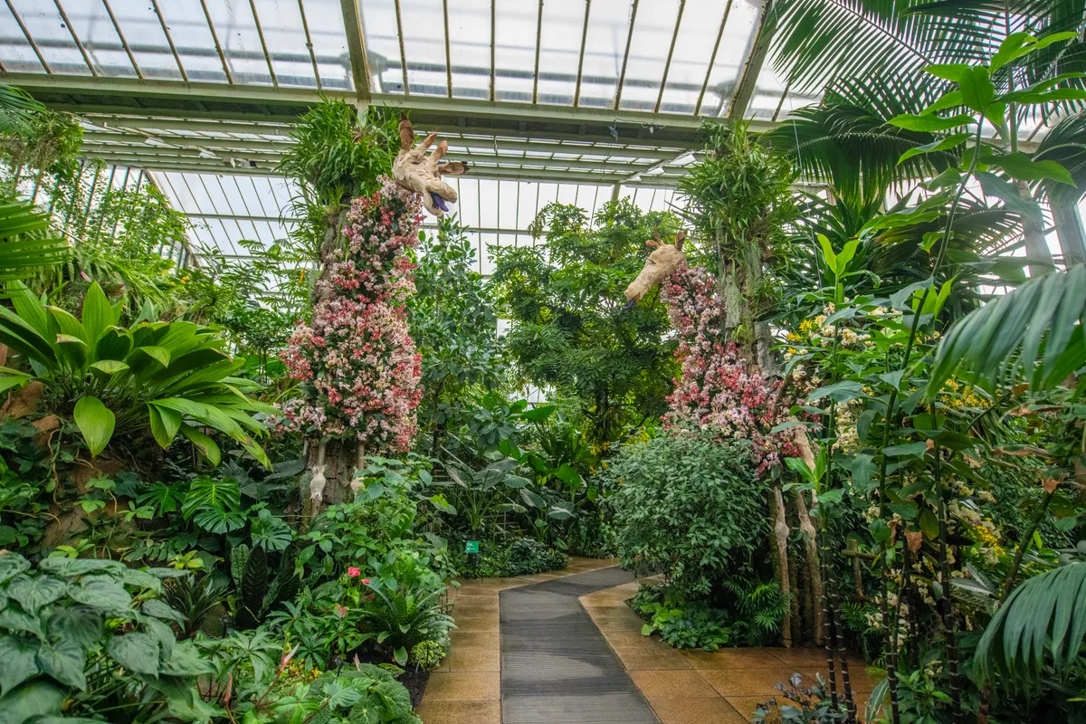 Kew Orchid Festival 2023