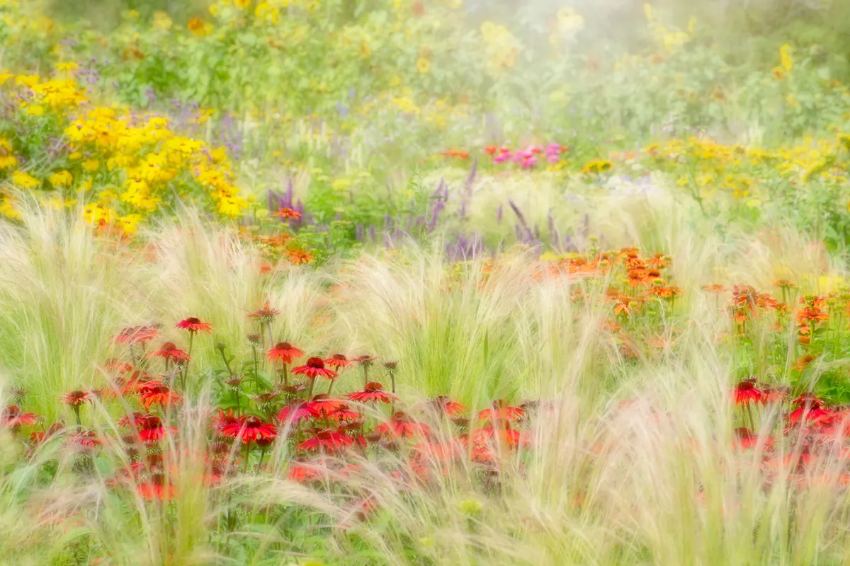 Jacky Parker winner of the International Garden Photographer Beautiful Garden category