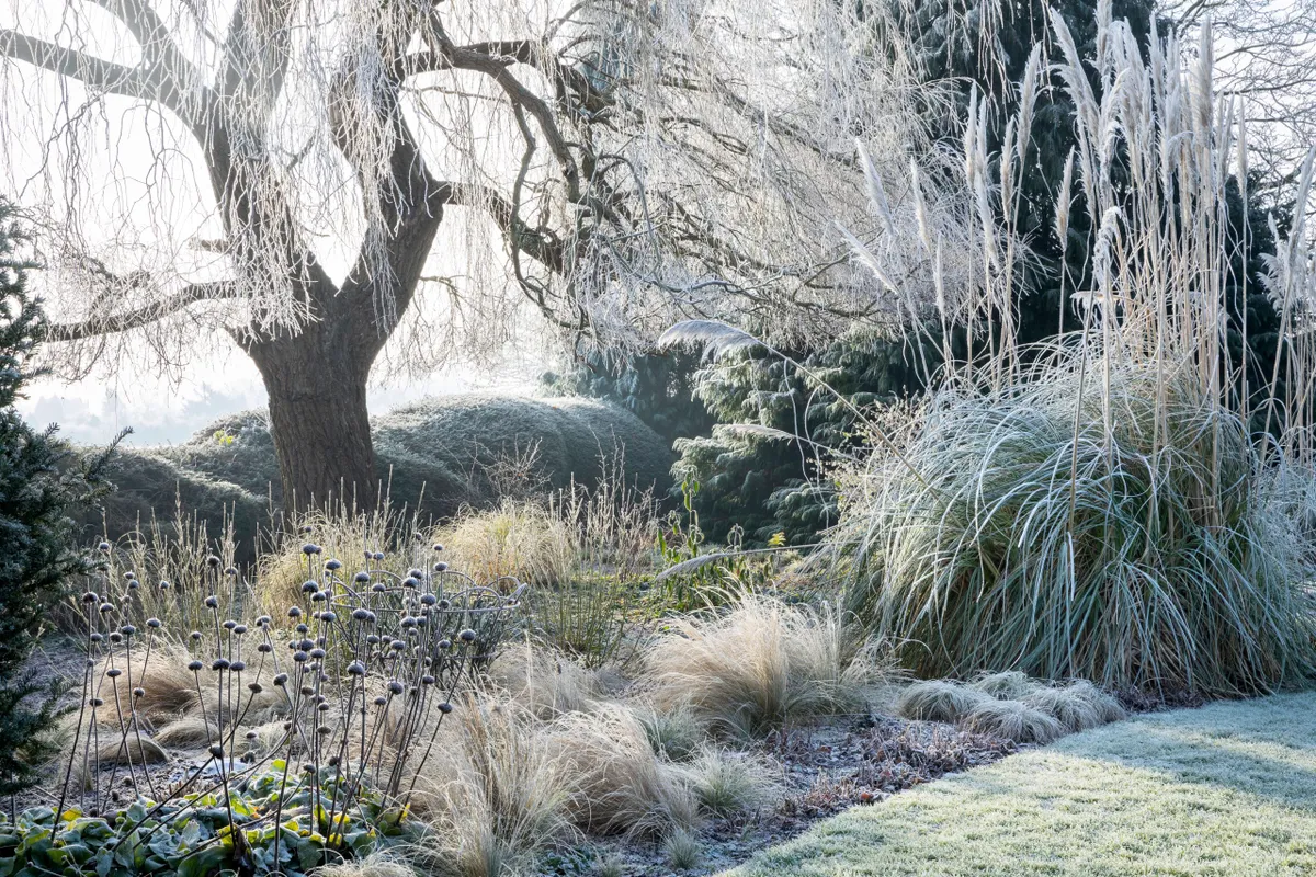 Marianne Majerus a finalist for the Beautiful Gardens category of the International Garden Photographer