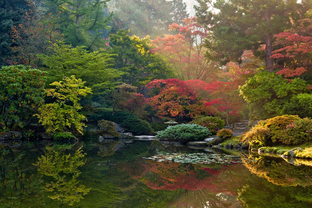 Thorsten Scheuermann, finalist for the Beautiful Gardens category for the International Garden Photographer of the Year
