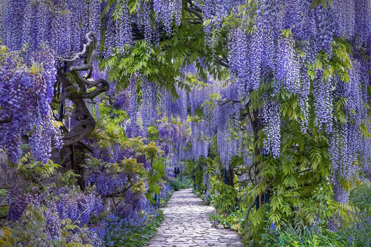 Vincenzo Di Nuzzo, finalist for the Beautiful Gardens category for International Garden Photographer of the Year